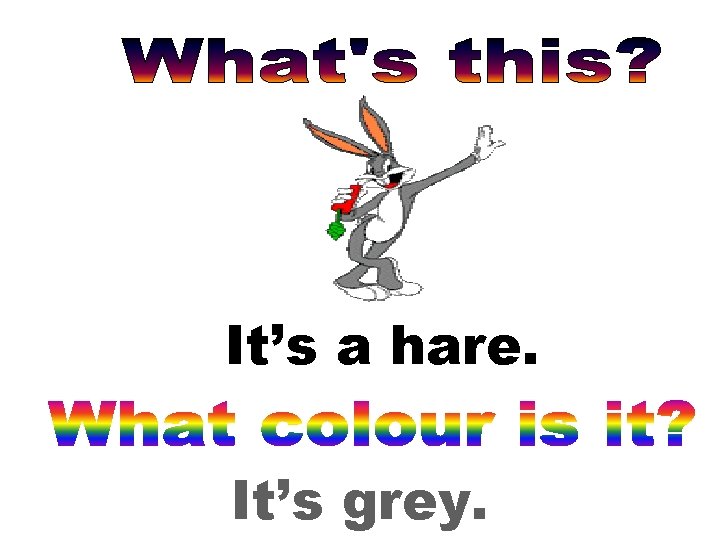 It’s a hare. It’s grey. 
