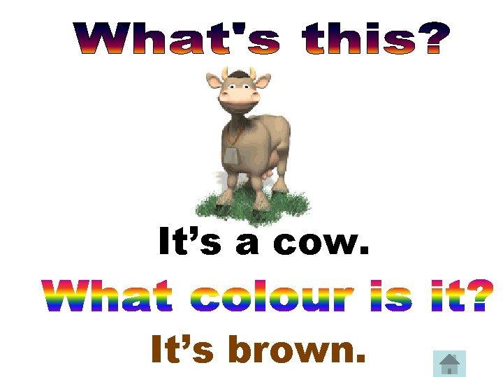 It’s a cow. It’s brown. 