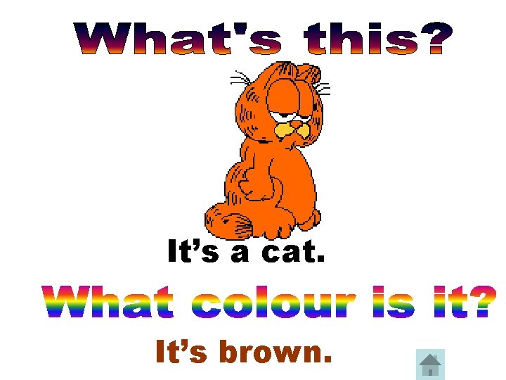 It’s a cat. It’s brown. 