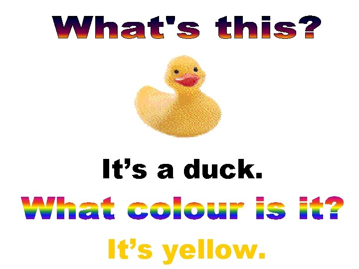 It’s a duck. It’s yellow. 