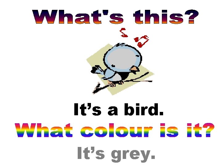 It’s a bird. It’s grey. 