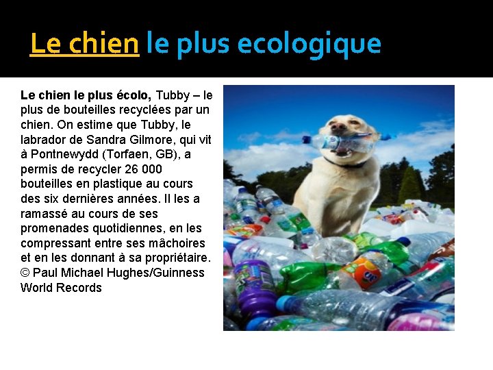 Le chien le plus ecologique Le chien le plus écolo, Tubby – le plus