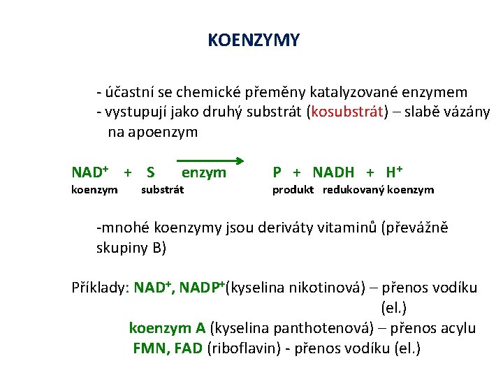 KOENZYMY - účastní se chemické přeměny katalyzované enzymem - vystupují jako druhý substrát (kosubstrát)