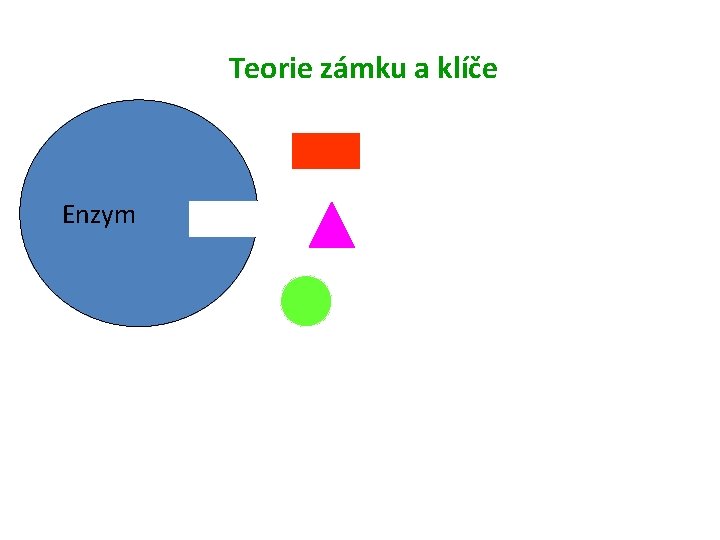 Teorie zámku a klíče Enzym 