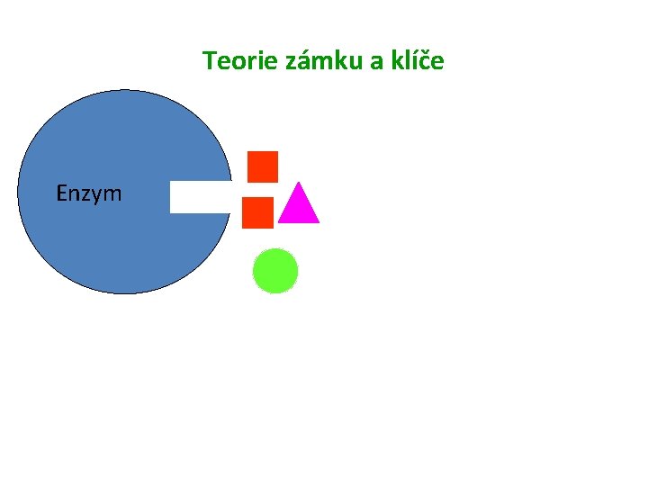 Teorie zámku a klíče Enzym 