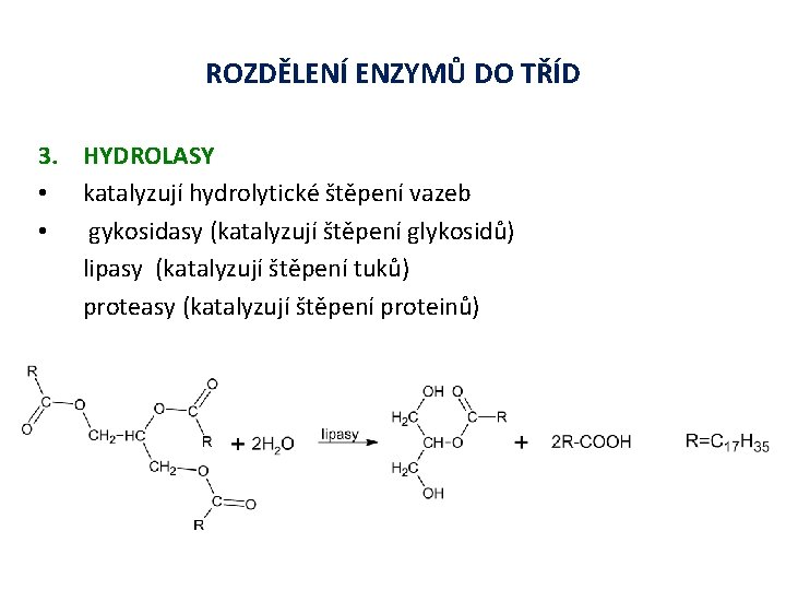 ROZDĚLENÍ ENZYMŮ DO TŘÍD 3. HYDROLASY • katalyzují hydrolytické štěpení vazeb • gykosidasy (katalyzují