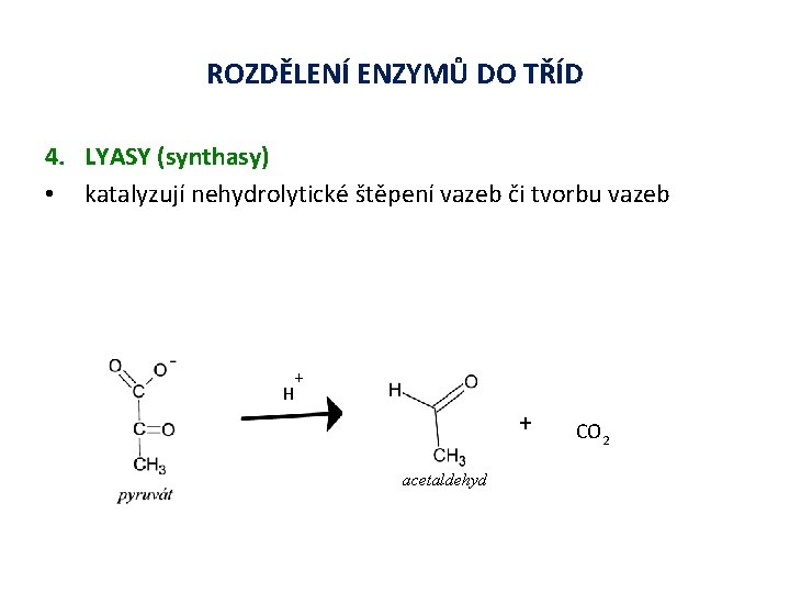 ROZDĚLENÍ ENZYMŮ DO TŘÍD 4. LYASY (synthasy) • katalyzují nehydrolytické štěpení vazeb či tvorbu