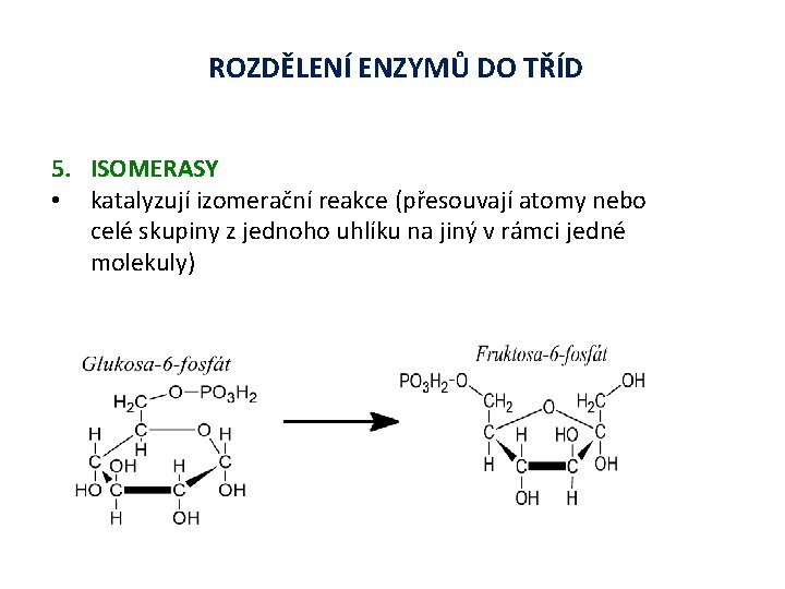 ROZDĚLENÍ ENZYMŮ DO TŘÍD 5. ISOMERASY • katalyzují izomerační reakce (přesouvají atomy nebo celé