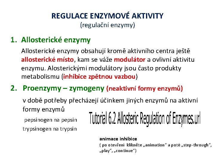 REGULACE ENZYMOVÉ AKTIVITY (regulační enzymy) 1. Allosterické enzymy obsahují kromě aktivního centra ještě allosterické