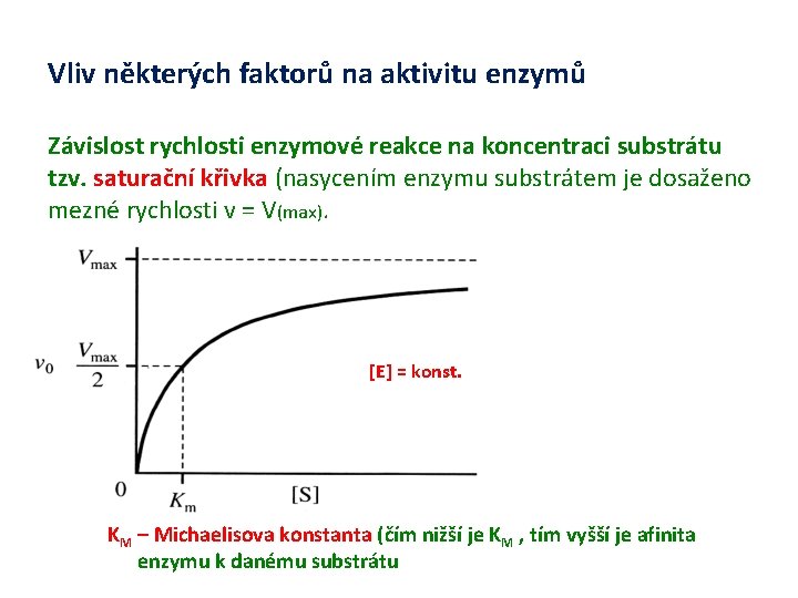 Vliv některých faktorů na aktivitu enzymů Závislost rychlosti enzymové reakce na koncentraci substrátu tzv.