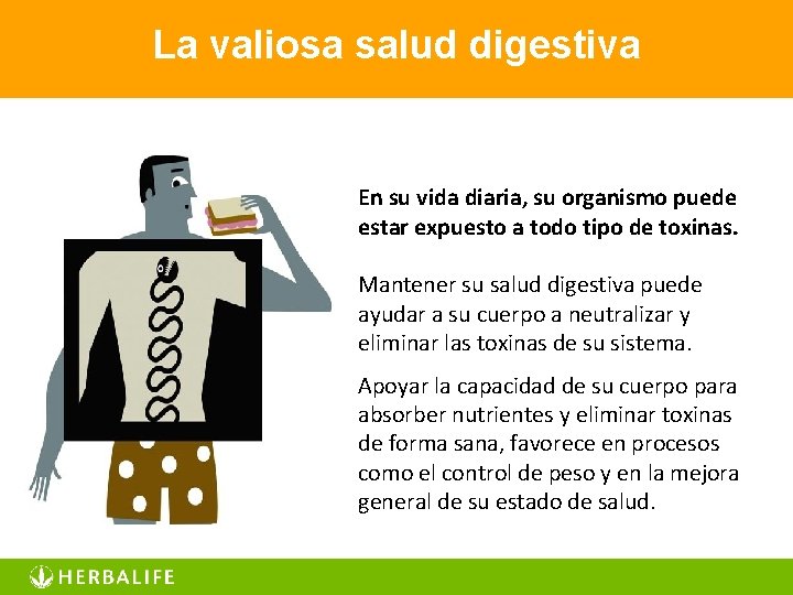 La valiosa salud digestiva En su vida diaria, su organismo puede estar expuesto a