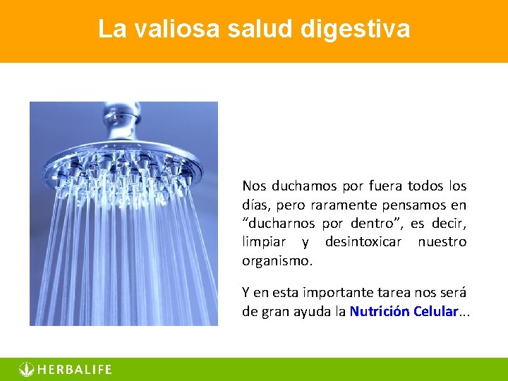 La valiosa salud digestiva Nos duchamos por fuera todos los días, pero raramente pensamos