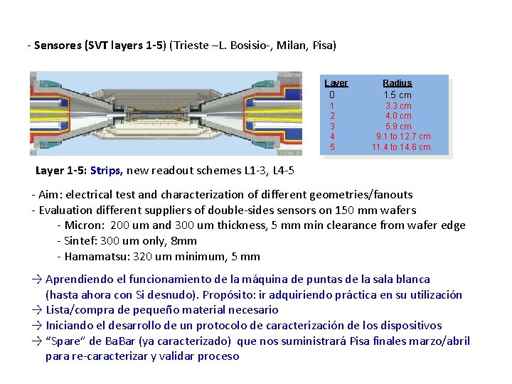 - Sensores (SVT layers 1 -5) (Trieste –L. Bosisio-, Milan, Pisa) Layer 0 1