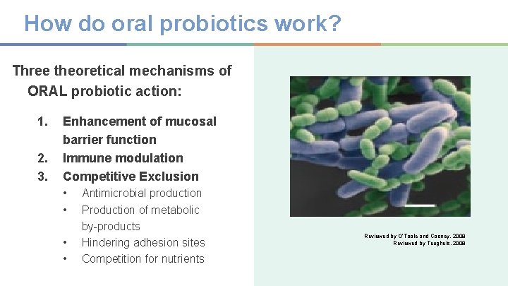 How do oral probiotics work? Three theoretical mechanisms of ORAL probiotic action: 1. 2.