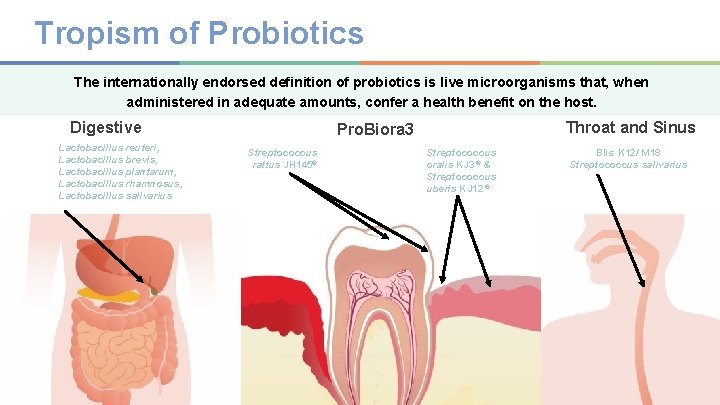 Tropism of Probiotics The internationally endorsed definition of probiotics is live microorganisms that, when