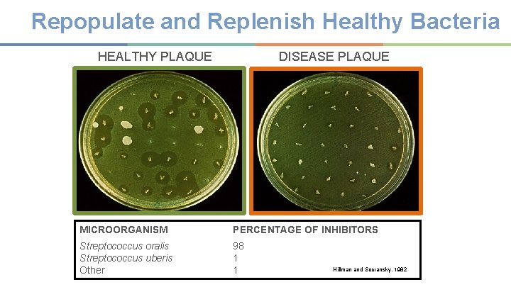 Repopulate and Replenish Healthy Bacteria HEALTHY PLAQUE DISEASE PLAQUE MICROORGANISM PERCENTAGE OF INHIBITORS Streptococcus