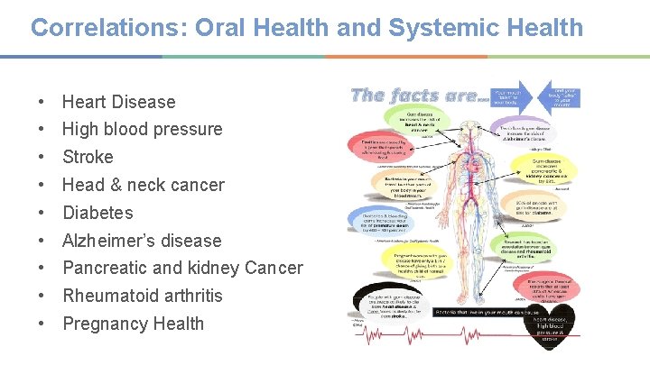 Correlations: Oral Health and Systemic Health • Heart Disease • High blood pressure •