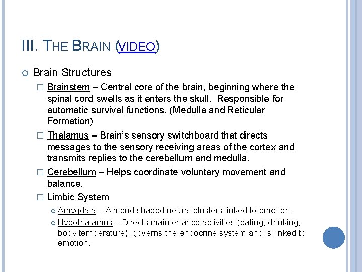 III. THE BRAIN (VIDEO) Brain Structures Brainstem – Central core of the brain, beginning