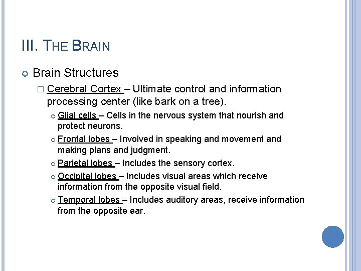 III. THE BRAIN Brain Structures � Cerebral Cortex – Ultimate control and information processing