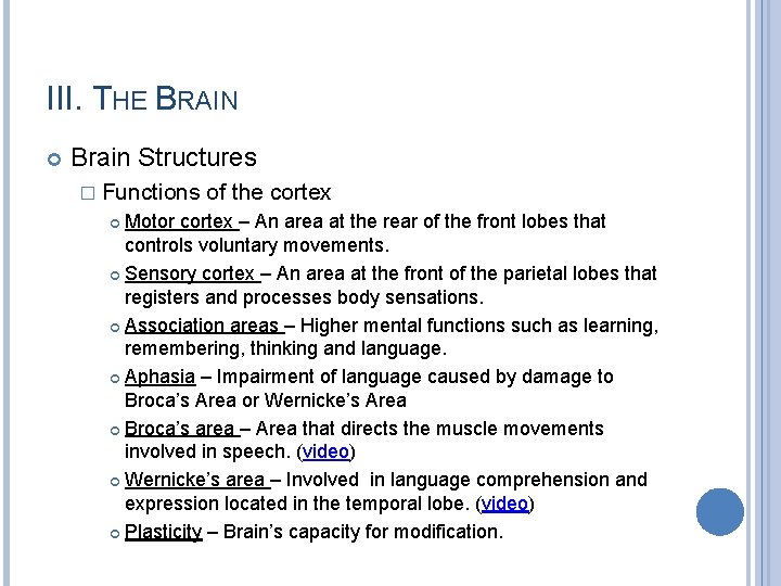 III. THE BRAIN Brain Structures � Functions of the cortex Motor cortex – An