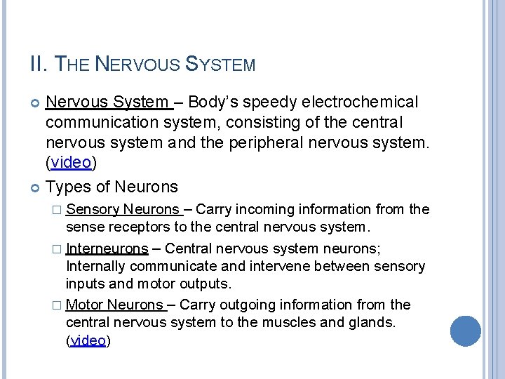 II. THE NERVOUS SYSTEM Nervous System – Body’s speedy electrochemical communication system, consisting of