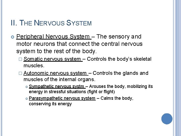 II. THE NERVOUS SYSTEM Peripheral Nervous System – The sensory and motor neurons that