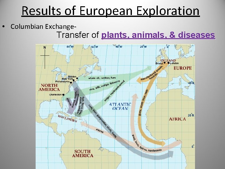 Results of European Exploration • Columbian Exchange- Transfer of plants, animals, & diseases 