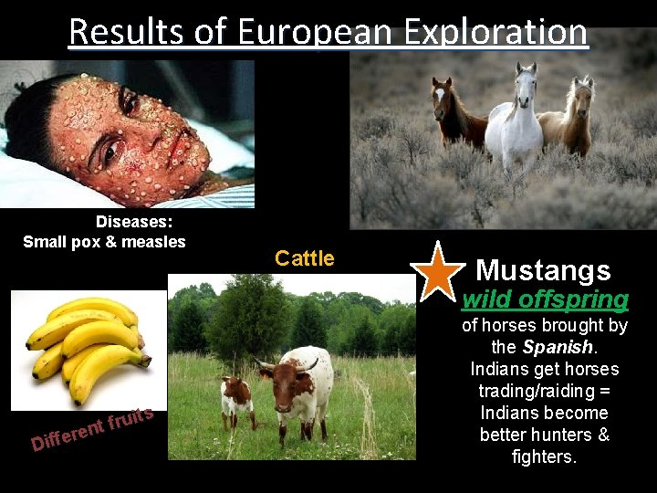 Results of European Exploration Diseases: Small pox & measles Cattle Mustangs wild offspring uits