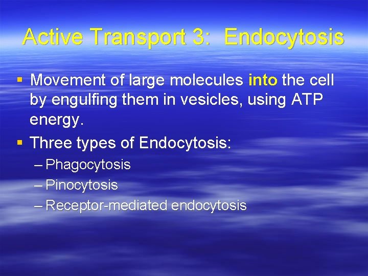 Active Transport 3: Endocytosis § Movement of large molecules into the cell by engulfing