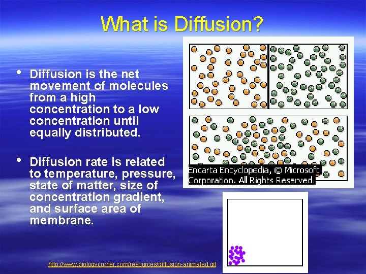 What is Diffusion? • Diffusion is the net movement of molecules from a high