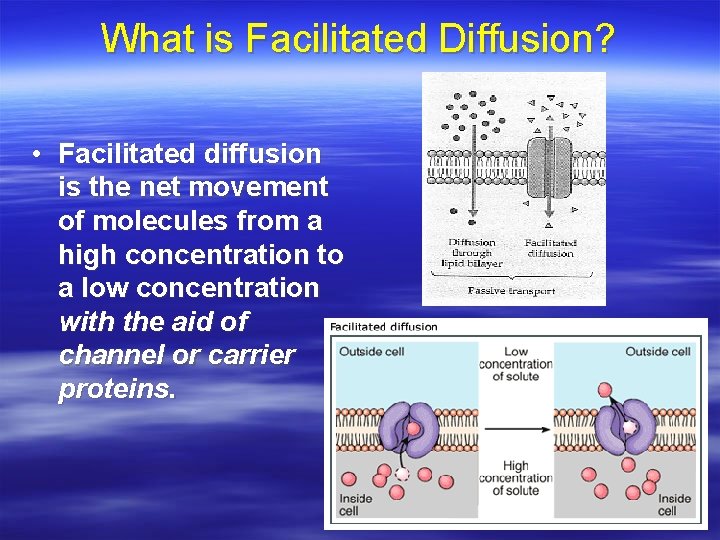 What is Facilitated Diffusion? • Facilitated diffusion is the net movement of molecules from