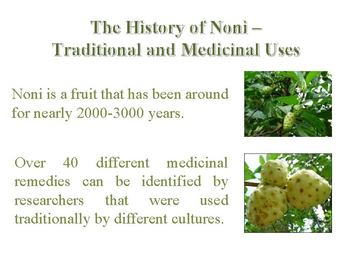 The History of Noni – Traditional and Medicinal Uses Noni is a fruit that