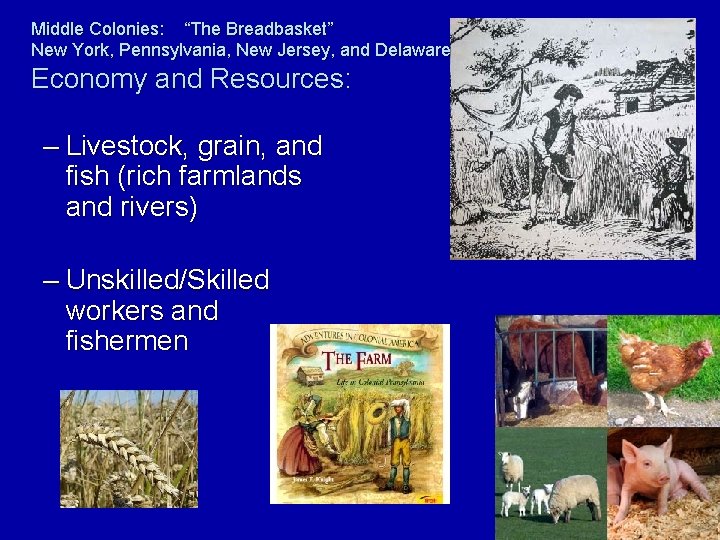 Middle Colonies: “The Breadbasket” New York, Pennsylvania, New Jersey, and Delaware Economy and Resources: