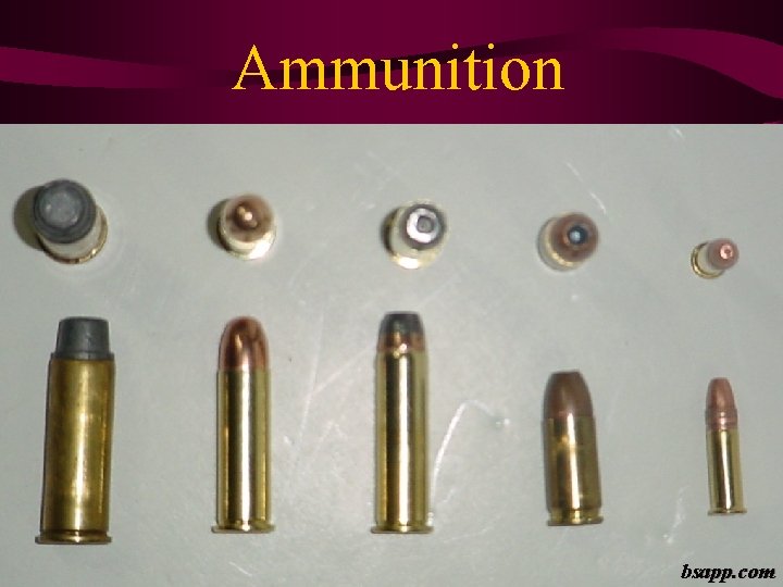 Ammunition bsapp. com 