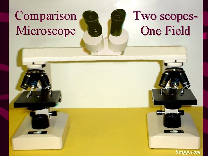 Comparison Microscope Two scopes. One Field bsapp. com 