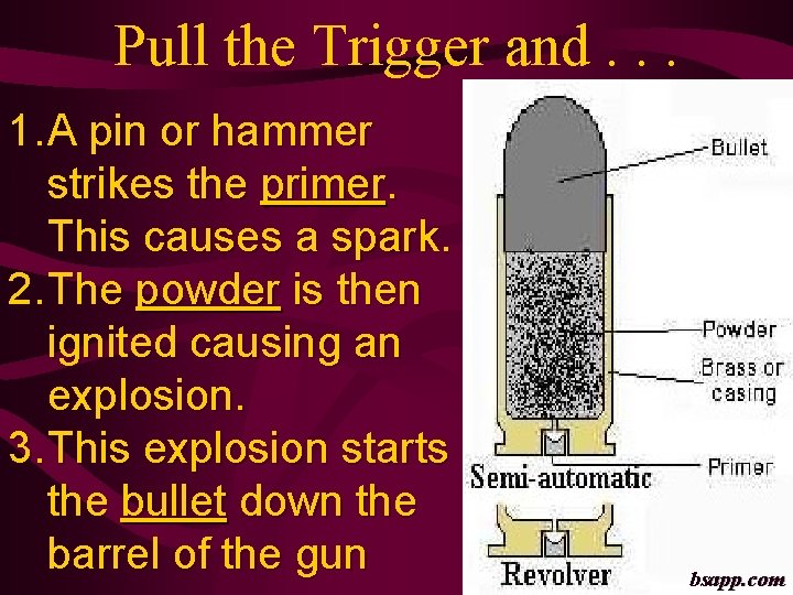 Pull the Trigger and. . . 1. A pin or hammer strikes the primer.