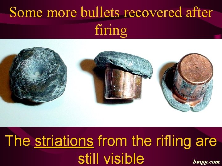 Some more bullets recovered after firing The striations from the rifling are bsapp. com