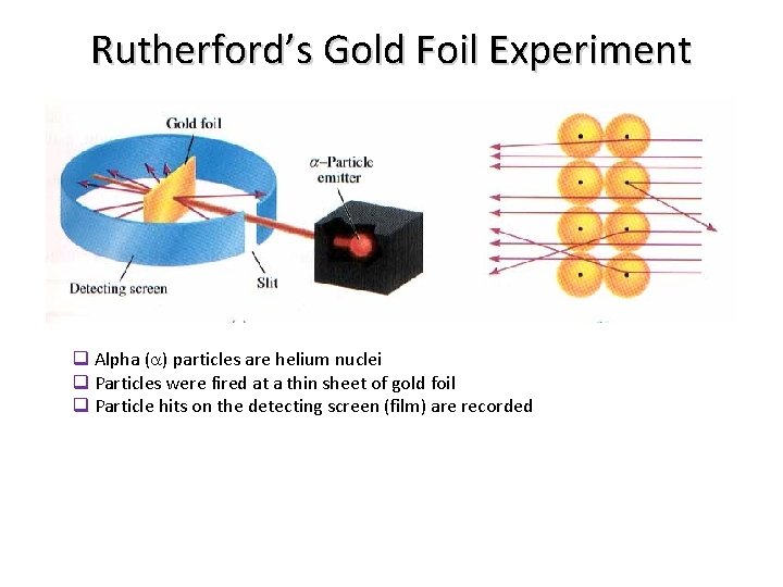 Rutherford’s Gold Foil Experiment q Alpha ( ) particles are helium nuclei q Particles