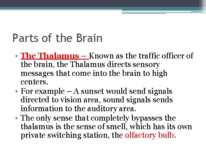 Parts of the Brain • The Thalamus – Known as the traffic officer of