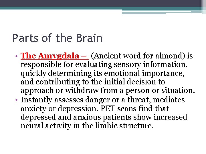 Parts of the Brain • The Amygdala – (Ancient word for almond) is responsible