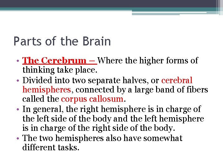 Parts of the Brain • The Cerebrum – Where the higher forms of thinking