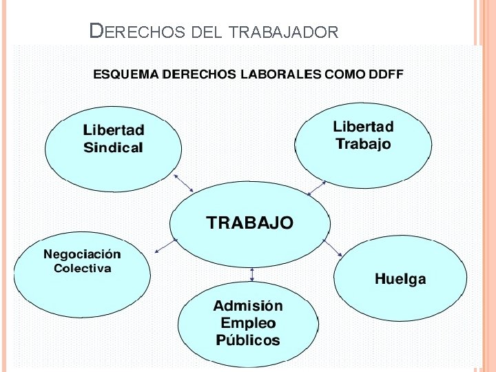 DERECHOS DEL TRABAJADOR 