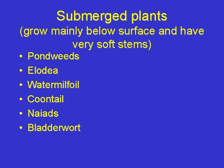 Submerged plants (grow mainly below surface and have very soft stems) • • •