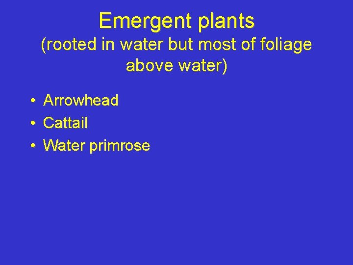 Emergent plants (rooted in water but most of foliage above water) • • •