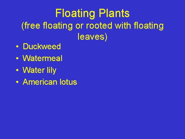 Floating Plants • • (free floating or rooted with floating leaves) Duckweed Watermeal Water