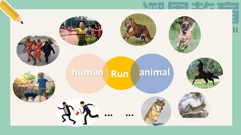 human Run animal. . . 
