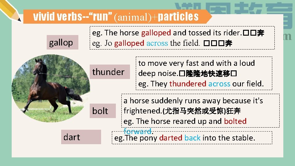 vivid verbs--“run” (animal)+particles gallop eg. The horse galloped and tossed its rider. ��奔 eg.