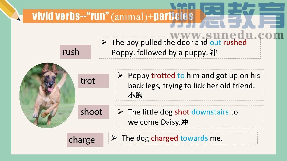 vivid verbs--“run” (animal)+particles Ø The boy pulled the door and out rushed Poppy, followed