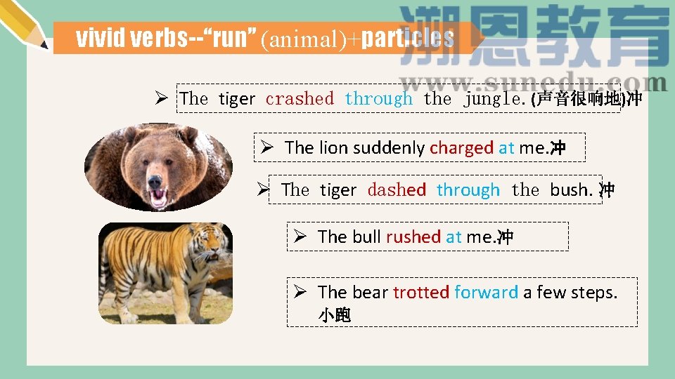 vivid verbs--“run” (animal)+particles Ø The tiger crashed through the jungle. (声音很响地)冲 Ø The lion