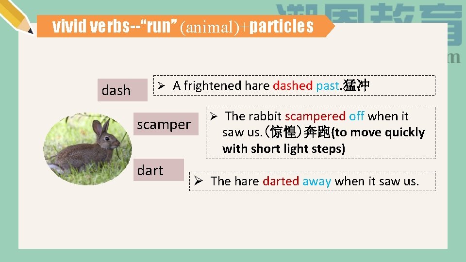 vivid verbs--“run” (animal)+particles dash Ø A frightened hare dashed past. 猛冲 scamper dart Ø
